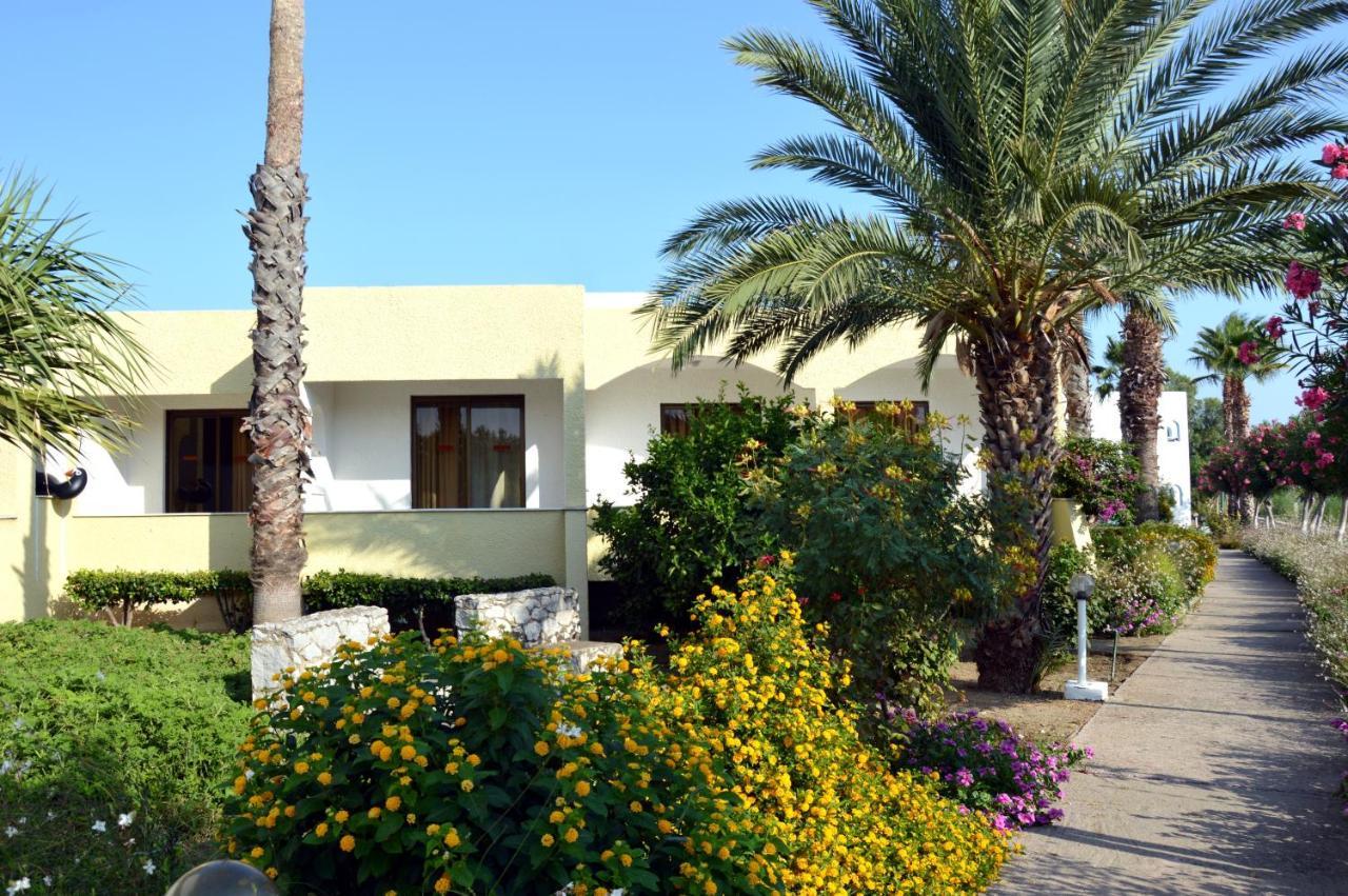 Muses Hotel Φαληράκι Εξωτερικό φωτογραφία