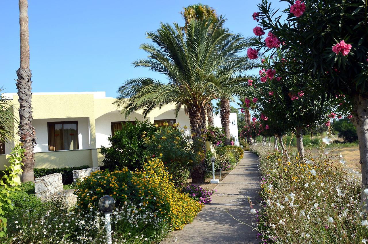 Muses Hotel Φαληράκι Εξωτερικό φωτογραφία