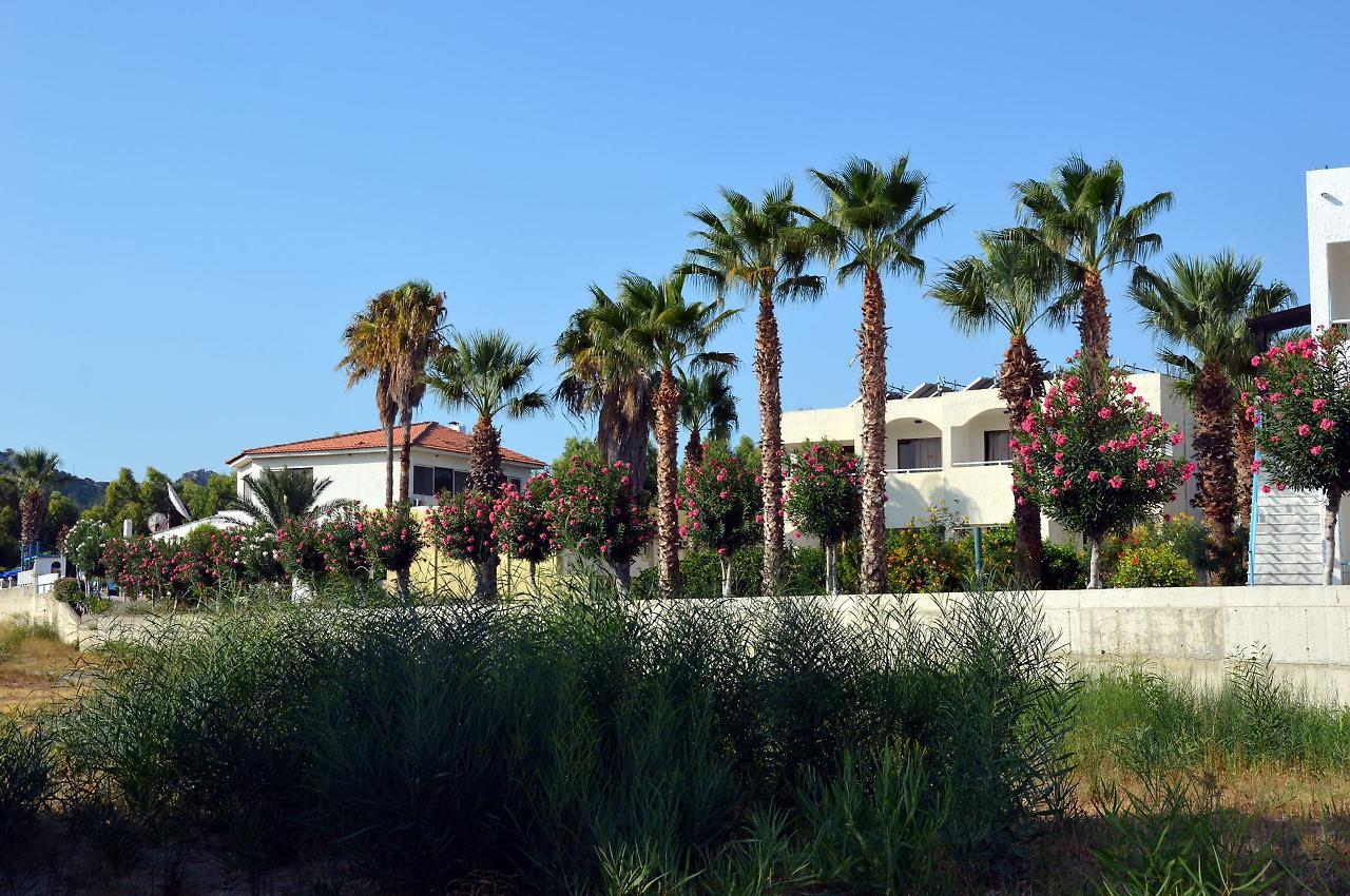 Muses Hotel Φαληράκι Εξωτερικό φωτογραφία